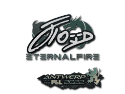 xfl0ud CS2 Sticker