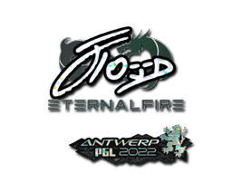 xfl0ud (Glitter) CS2 Sticker