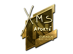 xms (Gold) CS2 Sticker