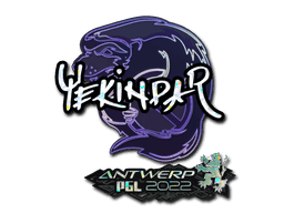YEKINDAR (Glitter) CS2 Sticker