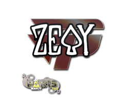 zevy CS2 Sticker