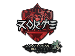 zorte CS2 Sticker