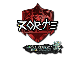 zorte (Glitter) CS2 Sticker
