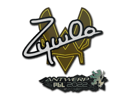 ZywOo CS2 Sticker