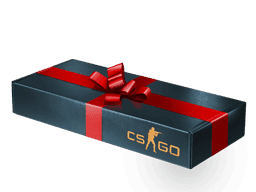 Gift Package CS2 Gifts