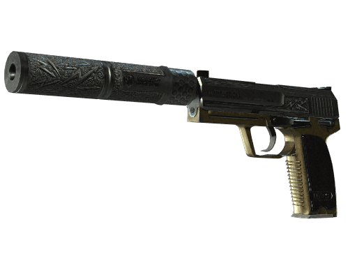 Lead Conduit | USP-S CS2 Skin