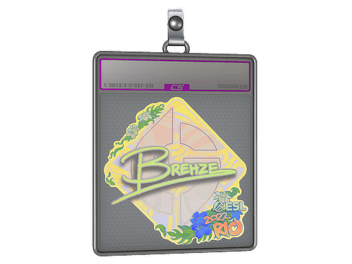 Brehze (Holo) CS2 Sticker