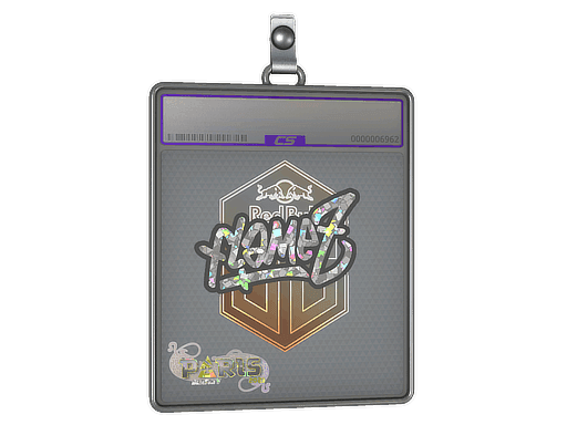 FlameZ (Glitter) CS2 Sticker