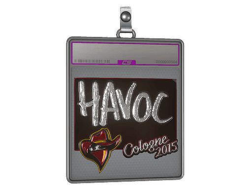 Havoc (Foil) CS2 Sticker