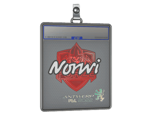 Norwi CS2 Sticker