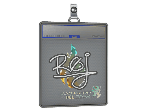 roeJ CS2 Sticker