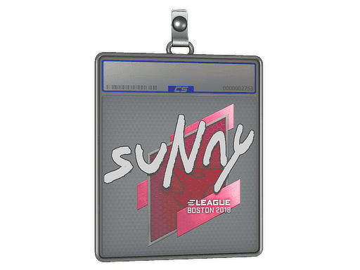 suNny CS2 Sticker