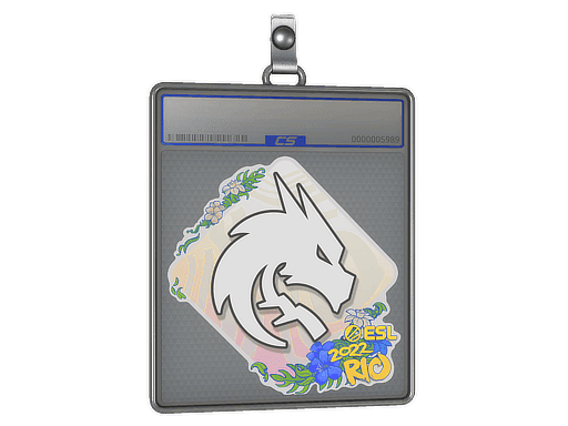 Team Spirit CS2 Sticker