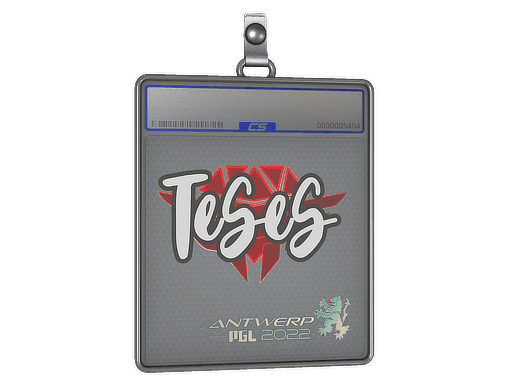 TeSeS CS2 Sticker