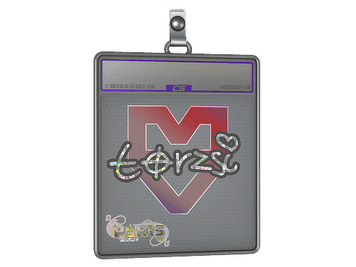 torzsi (Glitter) CS2 Sticker