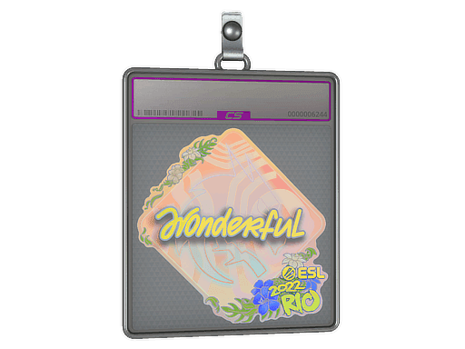 w0nderful (Holo) CS2 Sticker