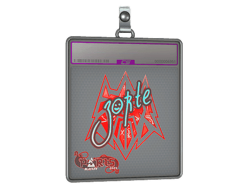 zorte (Holo) CS2 Sticker