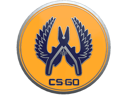 Guardian 2 Pin CS2 Collectible
