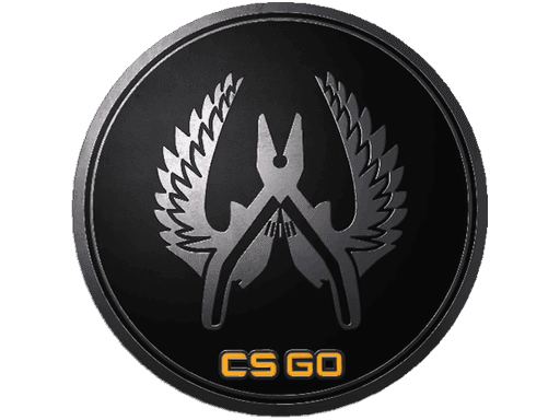 Guardian Elite Pin CS2 Collectible