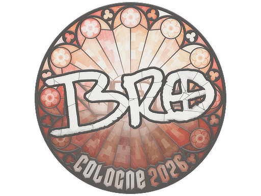 br0 CS2 Sticker
