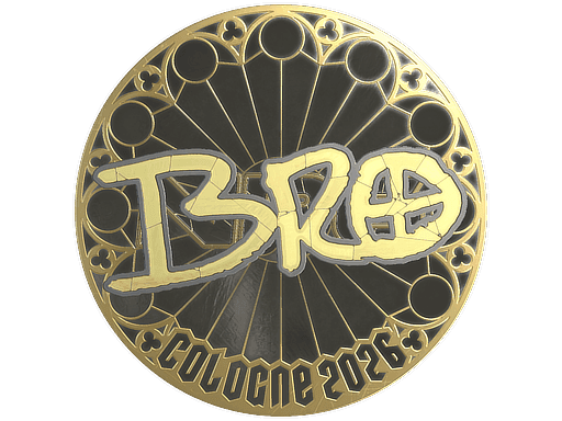 br0 (Gold) CS2 Sticker