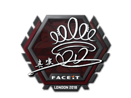 DD CS2 Sticker
