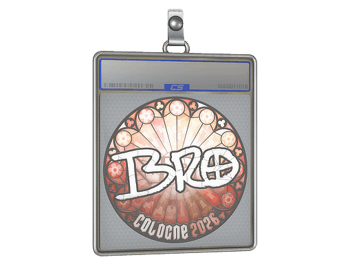 br0 CS2 Sticker