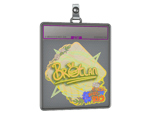 Brollan (Holo) CS2 Sticker