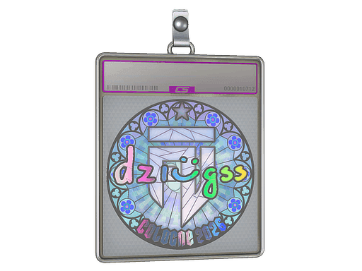 dziugss (Holo) CS2 Sticker