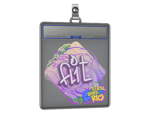 FL1T CS2 Sticker