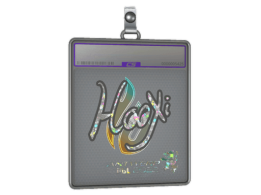 HooXi (Glitter) CS2 Sticker