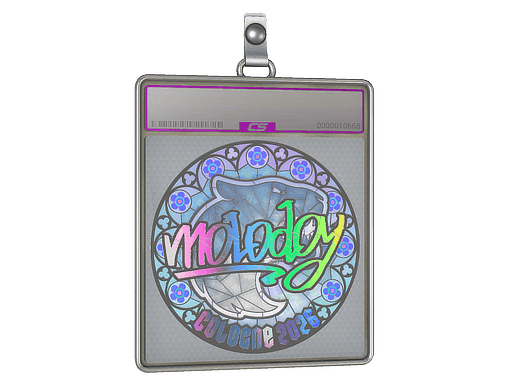 molodoy (Holo) CS2 Sticker