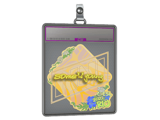 sdy (Holo) CS2 Sticker