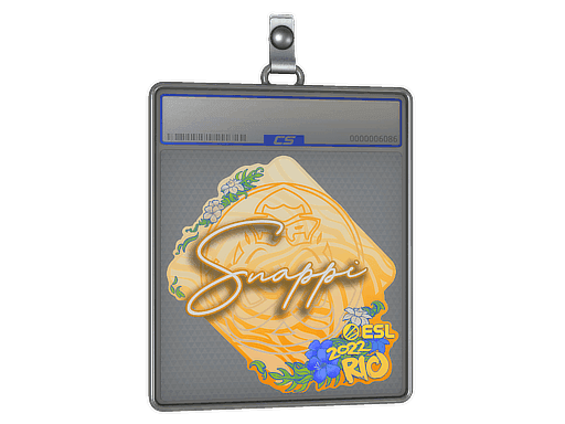Snappi CS2 Sticker