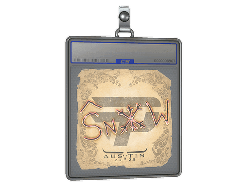 snow CS2 Sticker