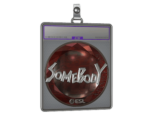 somebody (Foil) CS2 Sticker