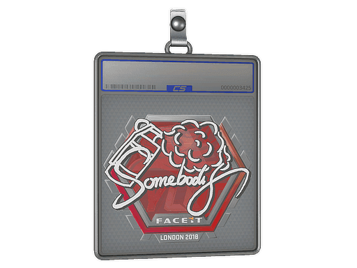 somebody CS2 Sticker