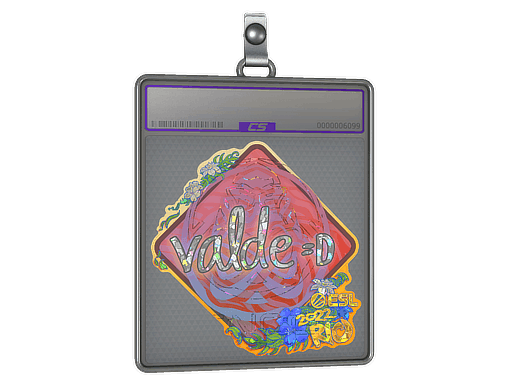 v4lde (Glitter) CS2 Sticker