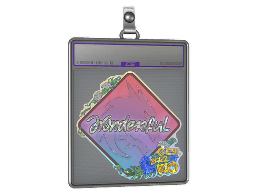 w0nderful (Glitter) CS2 Sticker
