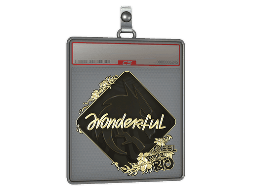 w0nderful (Gold) CS2 Sticker