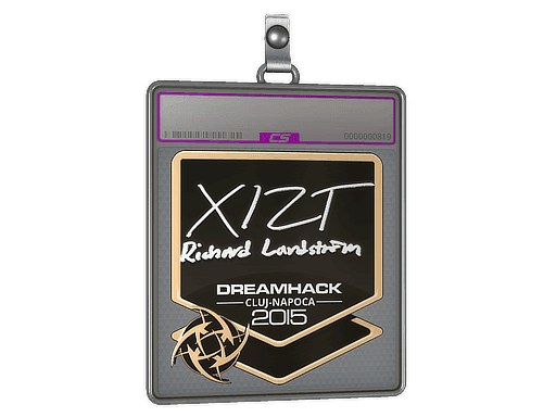 Xizt (Foil) CS2 Sticker