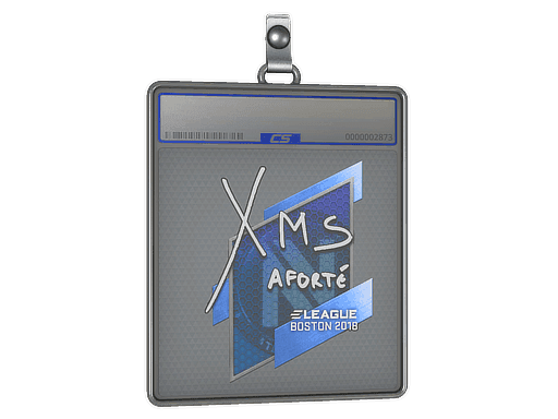 xms CS2 Sticker