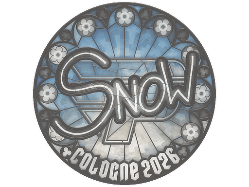 snow CS2 Sticker