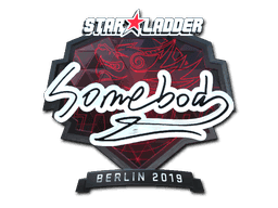 somebody (Foil) CS2 Sticker
