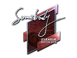somebody (Foil) CS2 Sticker