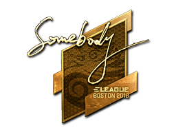 somebody (Gold) CS2 Sticker