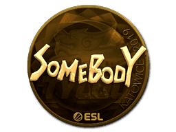somebody (Gold) CS2 Sticker