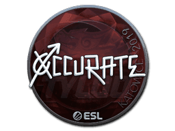 xccurate (Foil) CS2 Sticker