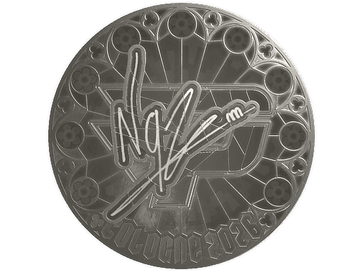 NQZ (Foil) CS2 Sticker