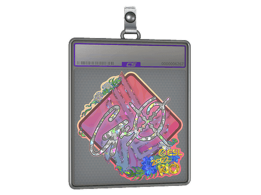 gxx- (Glitter) CS2 Sticker